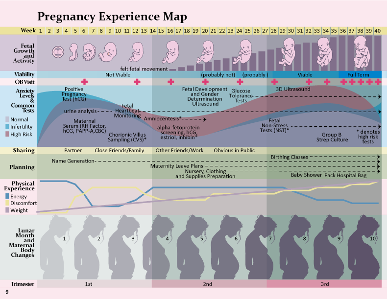 Pregnancy Experience Map
